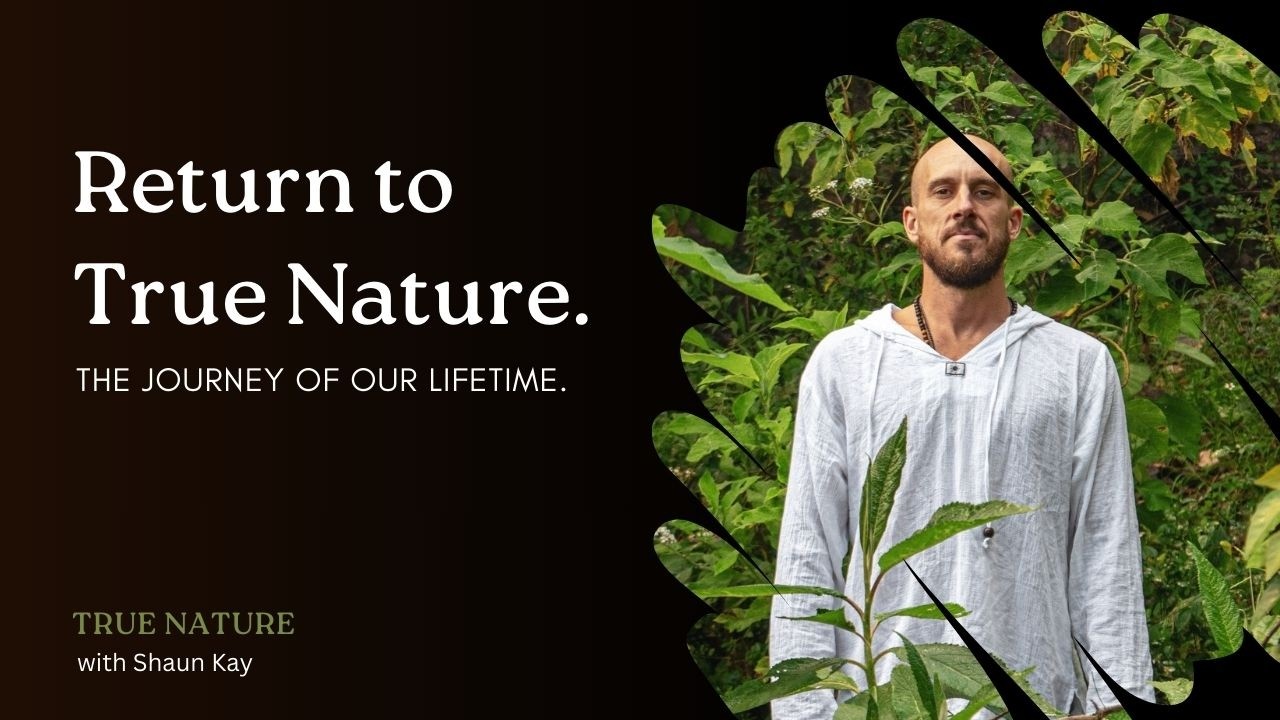 What Truly Matters: Return to True Nature