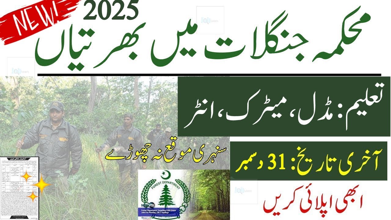 🌲New Govt Forest Department Jobs 2024 | Mehkma Janglat Forestry Jobs Guard| Latest New Jobs 2024
