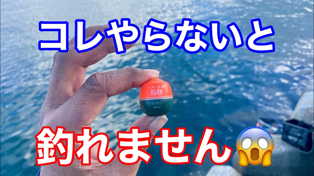 全遊動.半遊動沈め釣りする前に絶対すべき事【チヌフカセ釣り】