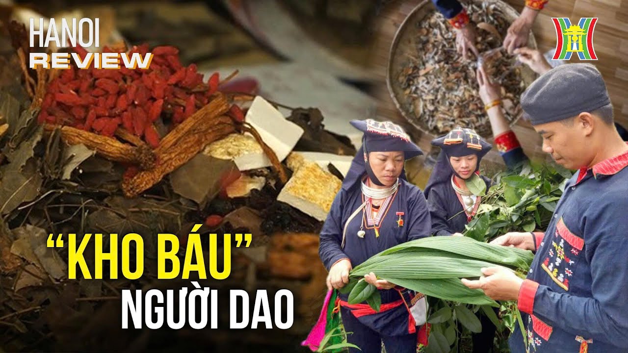 Khám phá “kho báu” người Dao dưới chân núi Ba Vì | Hanoi Review