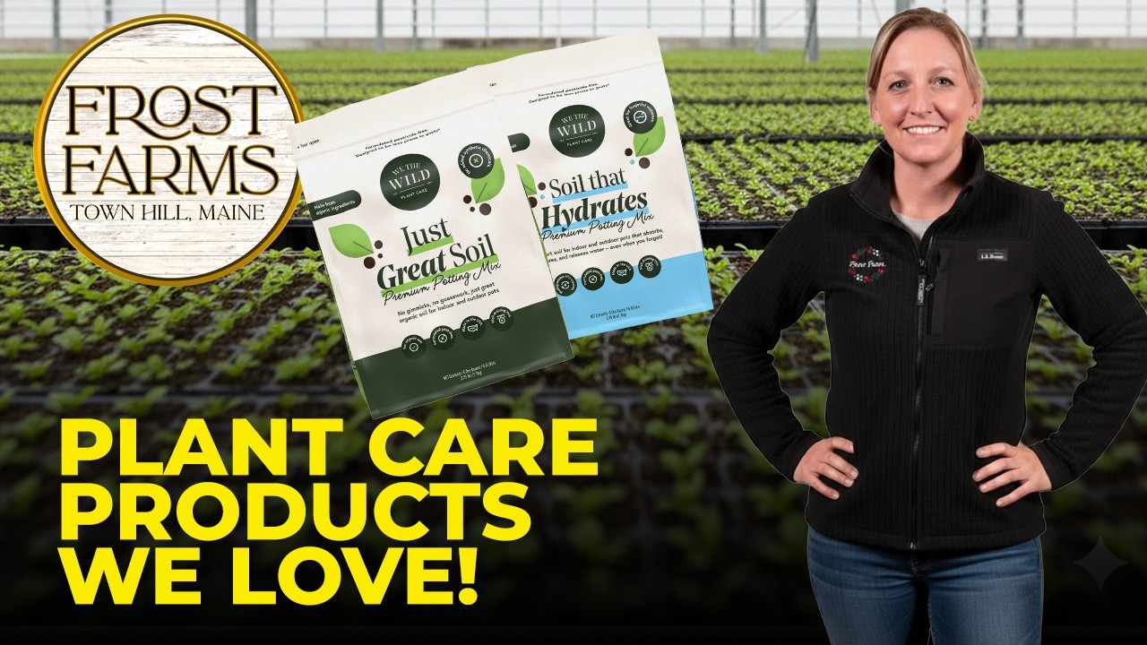 Our Secret to Happy Houseplants! 🌿 Steph & Frosty’s Plant Care Essentials