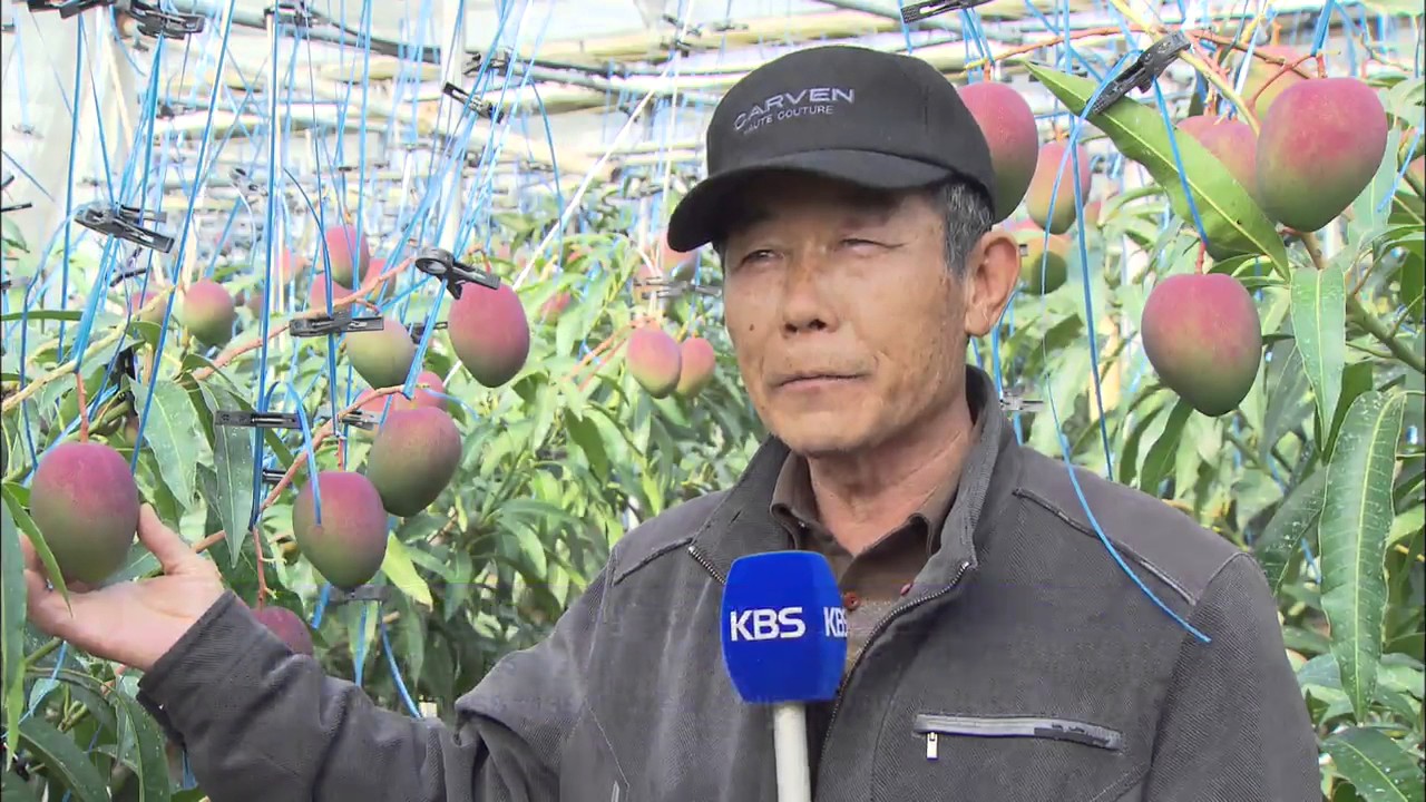 Geothermal Farming