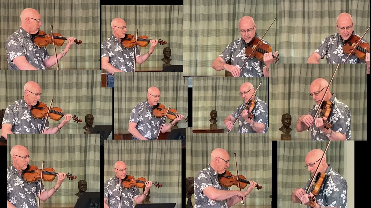 Elgar Serenade for Strings, 2nd Movement, Larghetto.