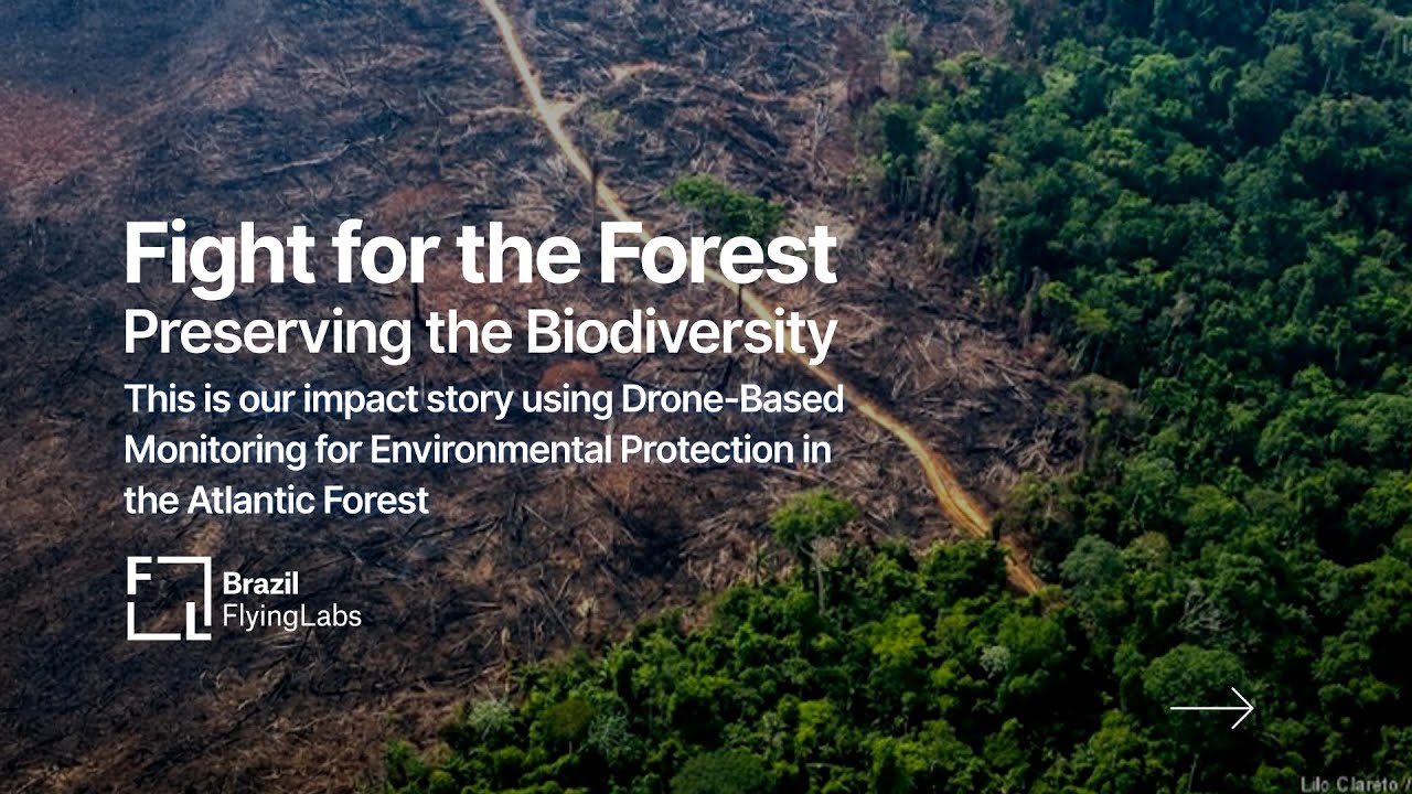 Fight for the Forest | Preserving the Atlantic Forest Biodiversity