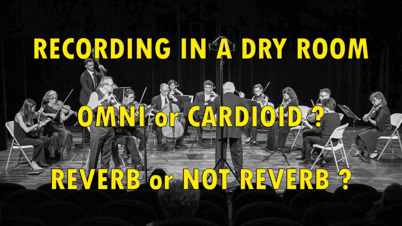 Recording in a Dry Room - OMNI or CARDIOID - REVERB or NOT REVERB