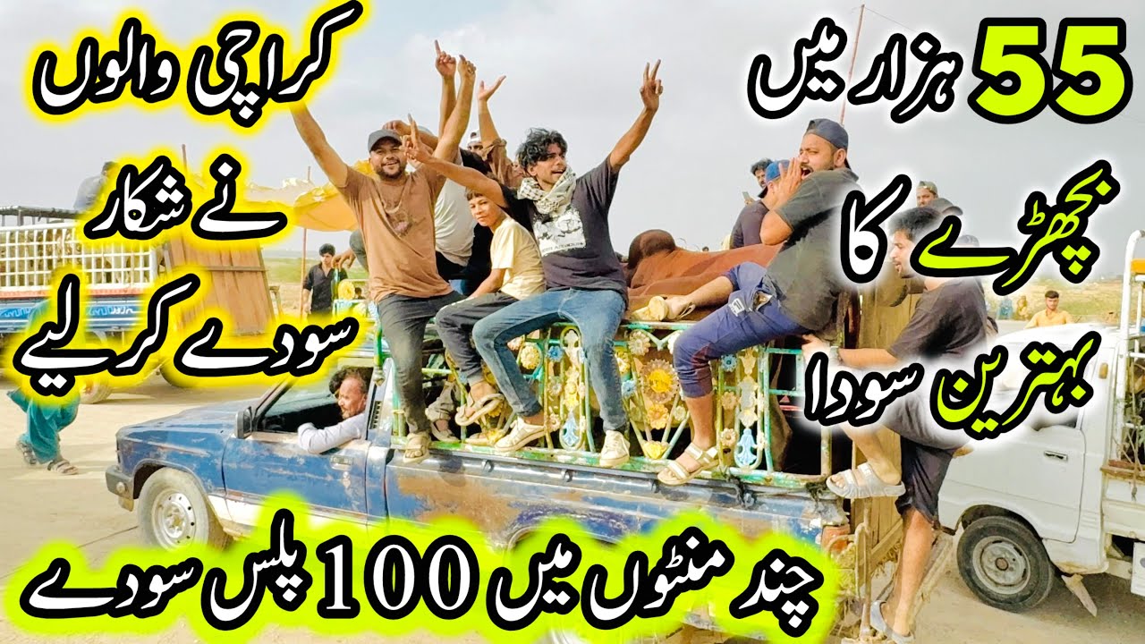Northern Bypass Mandi Rates And Bargaining | 31 May 2025 | Bakra Eid Season 2025
