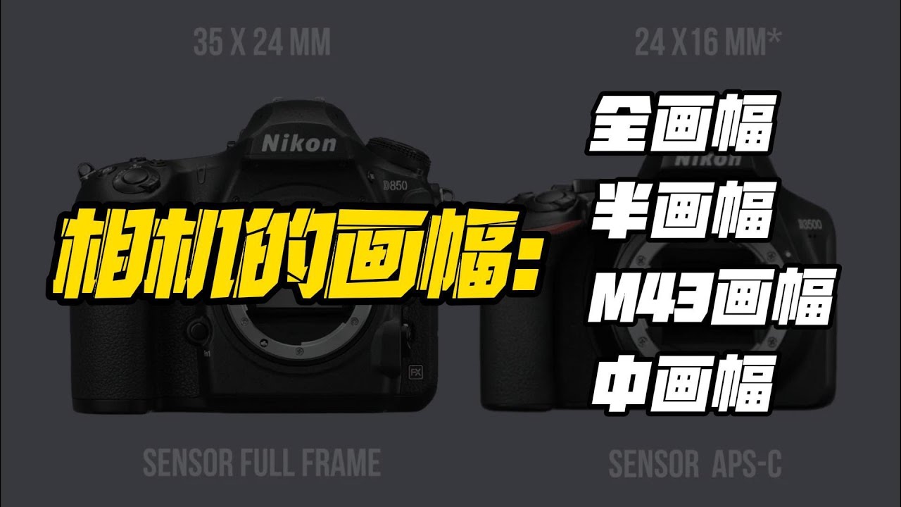 聊聊相机的画幅，全画幅、半画幅、M43画幅、中画幅