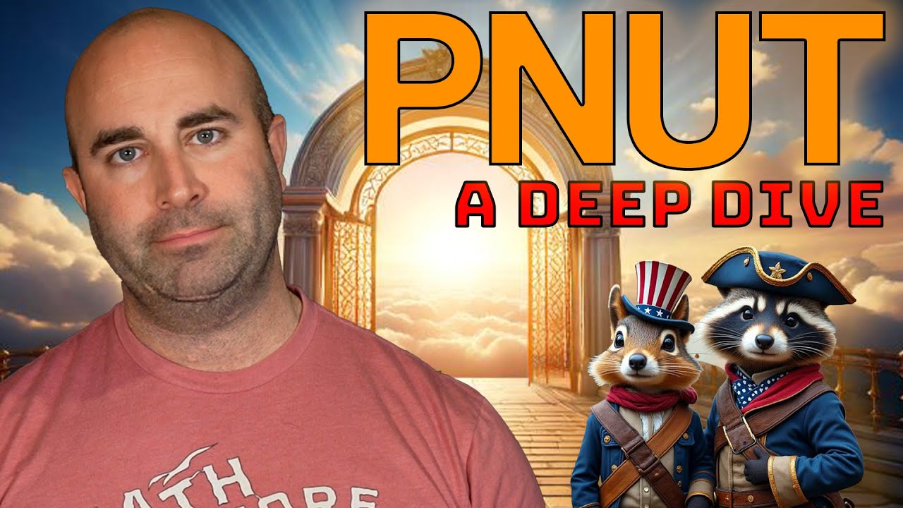 Ордер на арест &laquo;Белки P-NUT&raquo; доставлен в Верховный суд