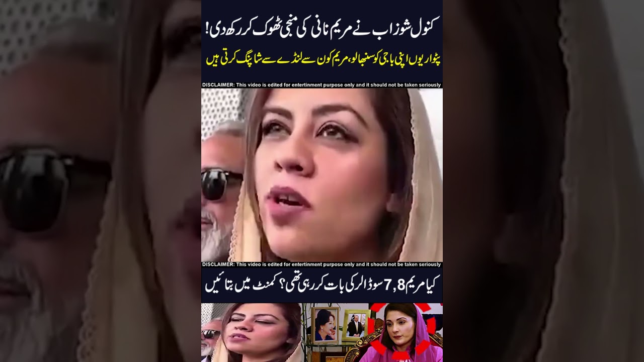 pti vs pmln !! 🤣😱 #funnynews #viralvideo #maryamnawaz