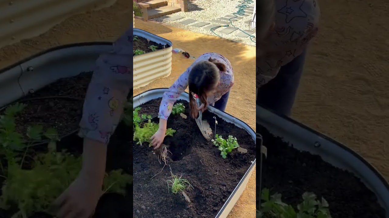 Live the Homesteading Dream in the Bay Area: Our Backyard Gardening Adventure | #sellinglamorinda