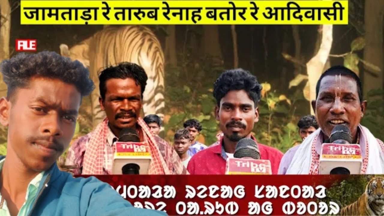 JAMTARA K BABUPUR MAHULBUNA JANGAL ME 🐅 KI KHABAR NALA JAMTARA JHARKHAND 