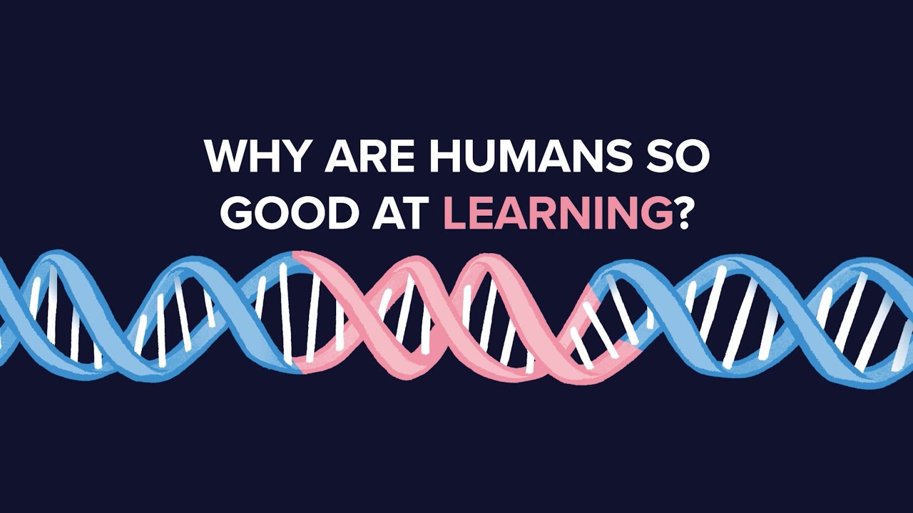 Why are Humans So Good at Learning?