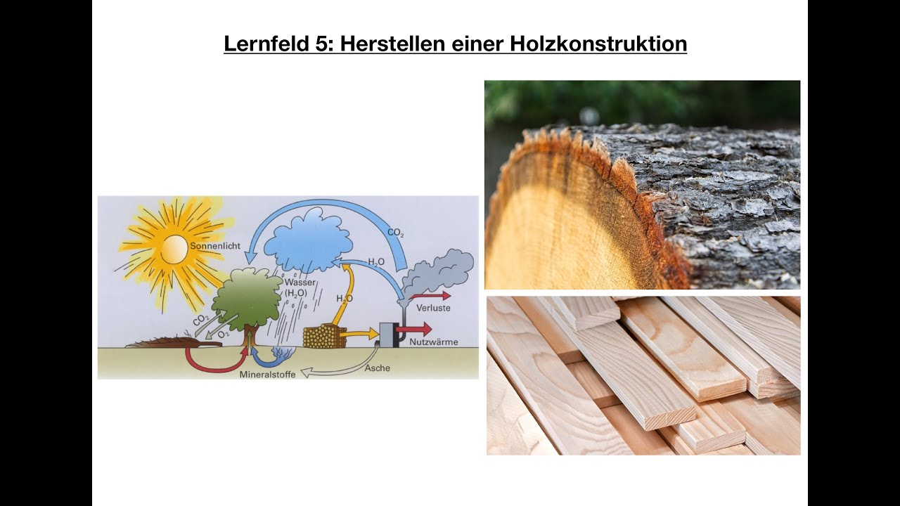Chemischer + mikroskopischer Holzaufbau