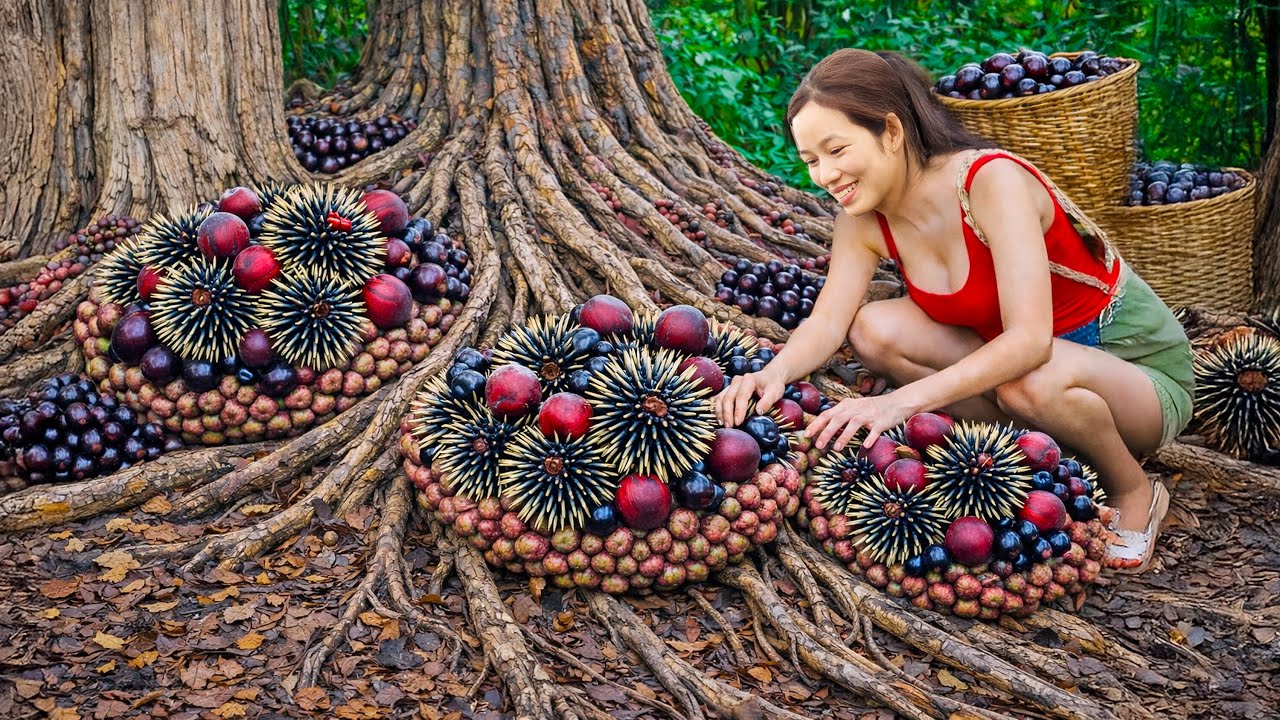 Harvesting Wild Sala Fruits Clinging to Tree Trunks | Sold Out Fast at the Market | How to Eat Sala