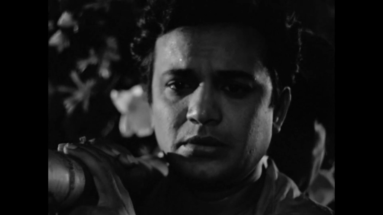 Meheli Sen on Uttam Kumar