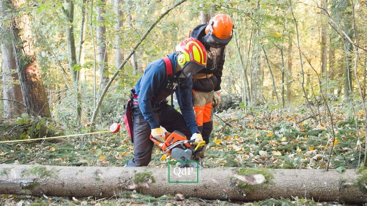 Prova sul campo per il verricello forestale donato da Banca Prealpi SanBiagio all’ISS Della Lucia