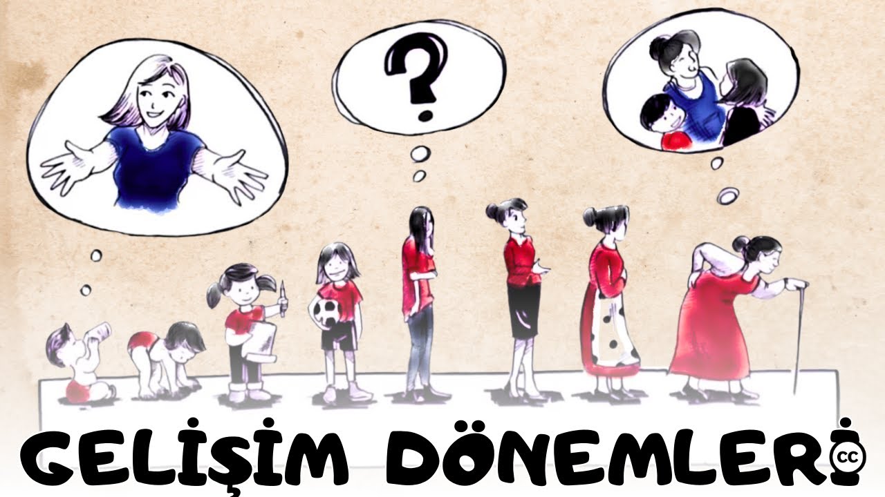 Psikososyal Gelişim Kuramı | Erik Erikson