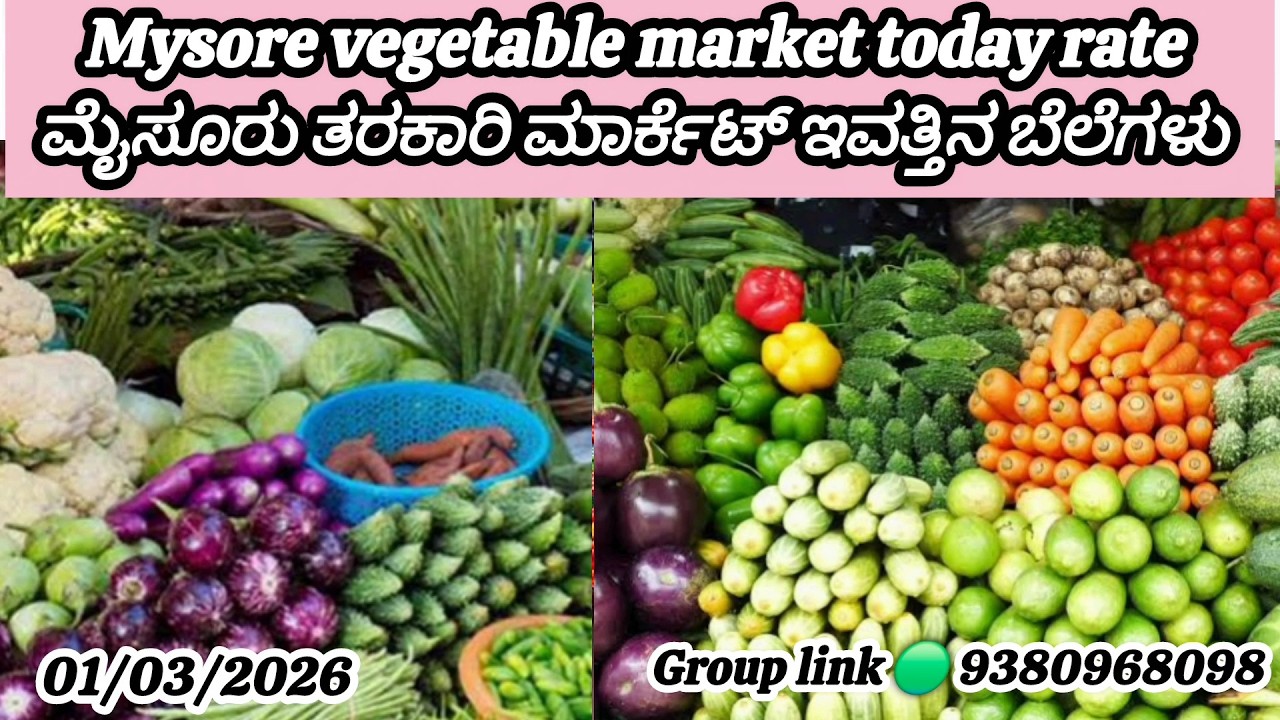 || Mysore tarkari market today rate.? 01/03/2025 ಮೈಸೂರ್ ತರಕಾರಿ ಮಾರ್ಕೆಟ್ ಇವತ್ತಿನ ಬೆಲೆಗಳು.?