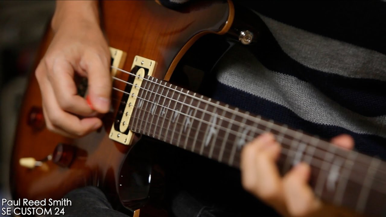 Paul Reed Smith / SE CUSTOM 24【デジマート製品レビュー】