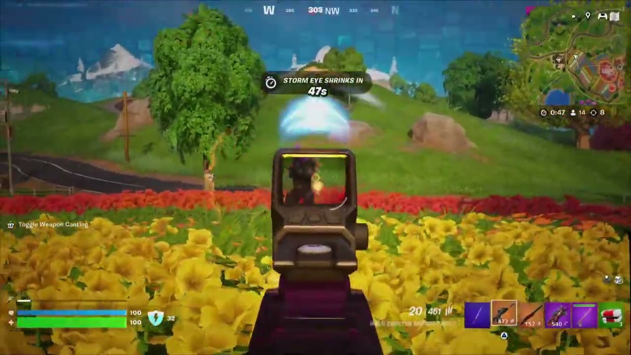 Fornite Domination | FORTNITE