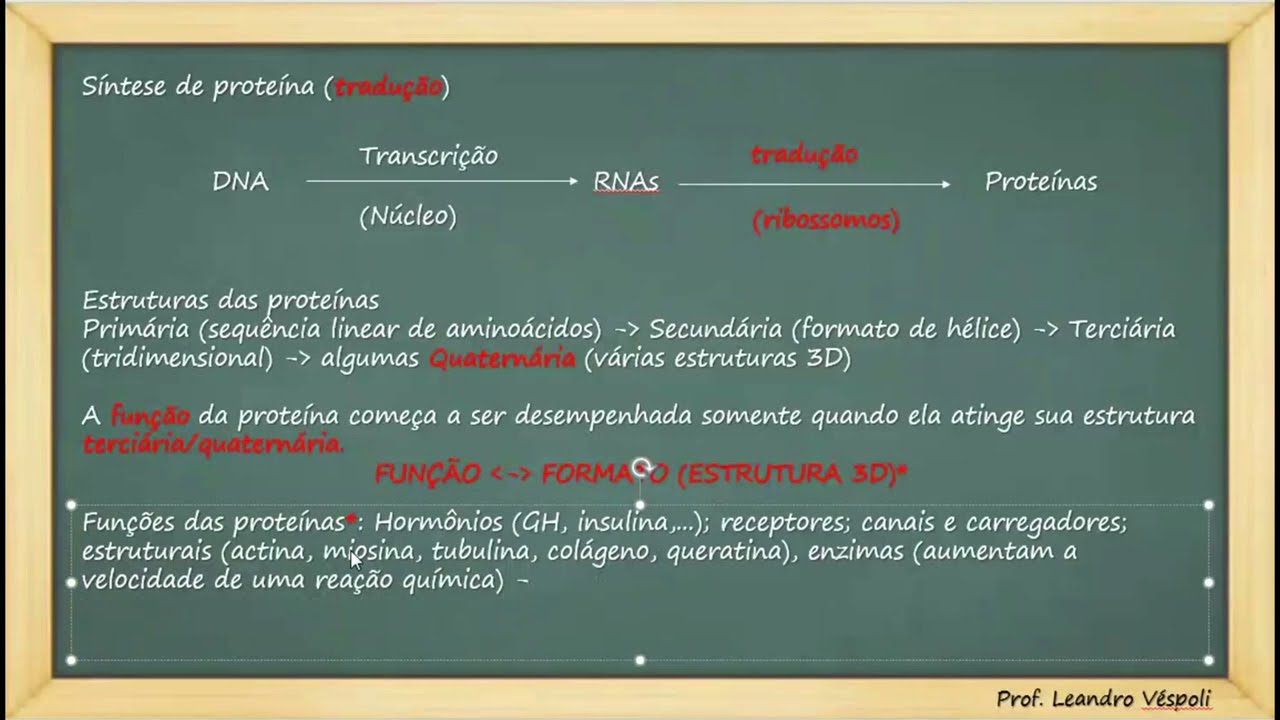 #Bioquímica - Proteínas