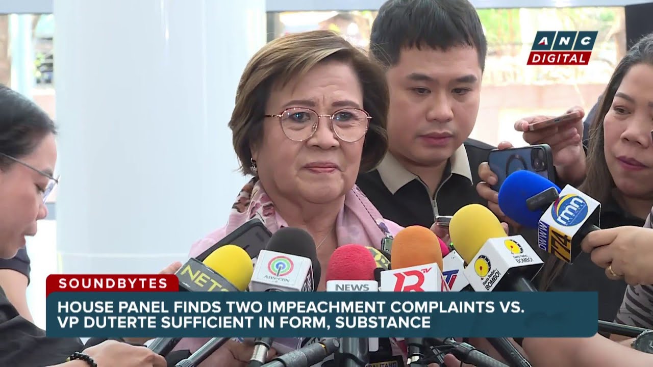 De Lima says she was informed Erice will be replaced as SDML ahead of dynasty hearing | ANC