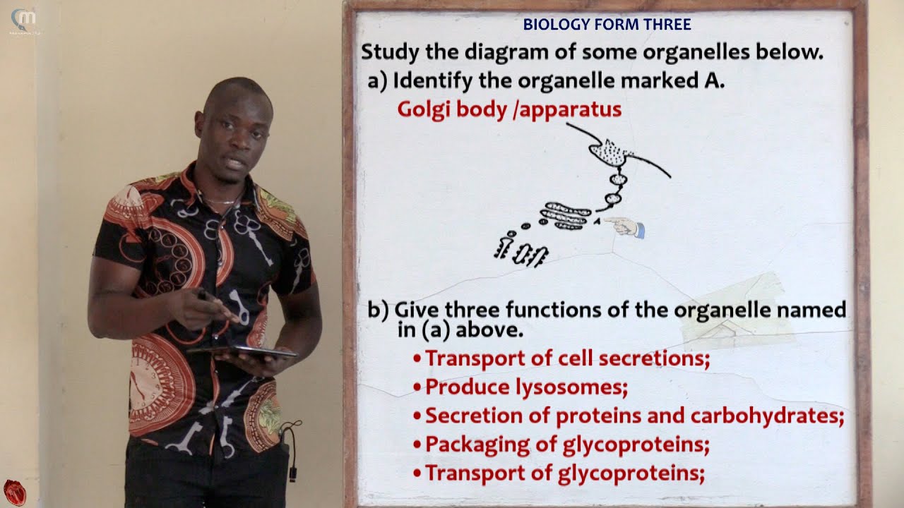 Part 3; Biology Form 3 Revision