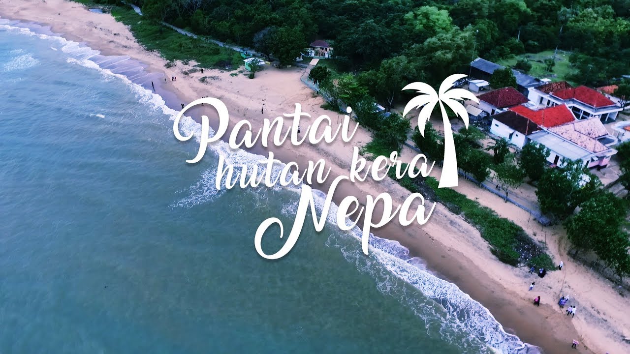 Pantai Nepa dan hutan kera kabupaten Sampang-Madura