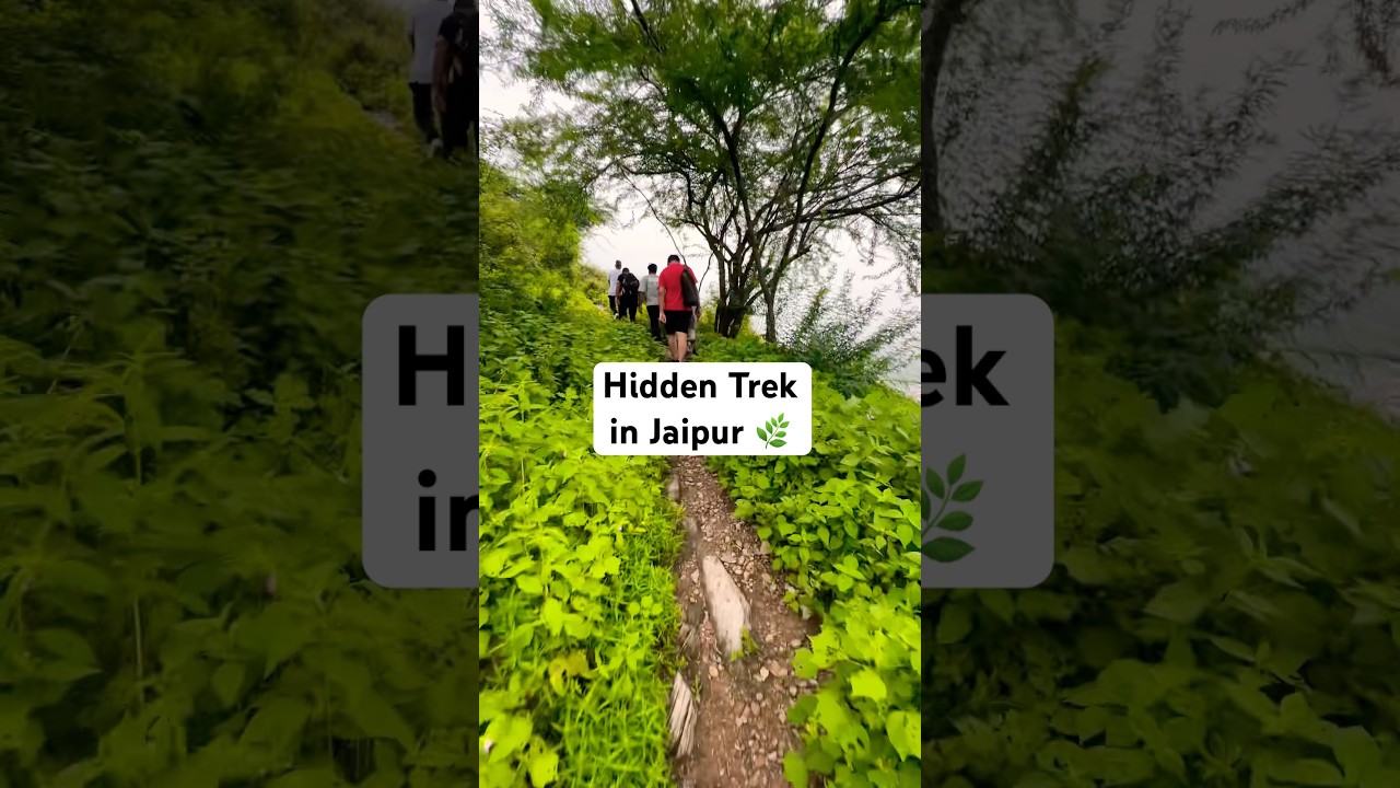 Offbeat Trek in Jaipur 🌿 #shorts #shortsfeed #fypシ゚viral #fypシ゚ #trending #viralvideo #ytshorts