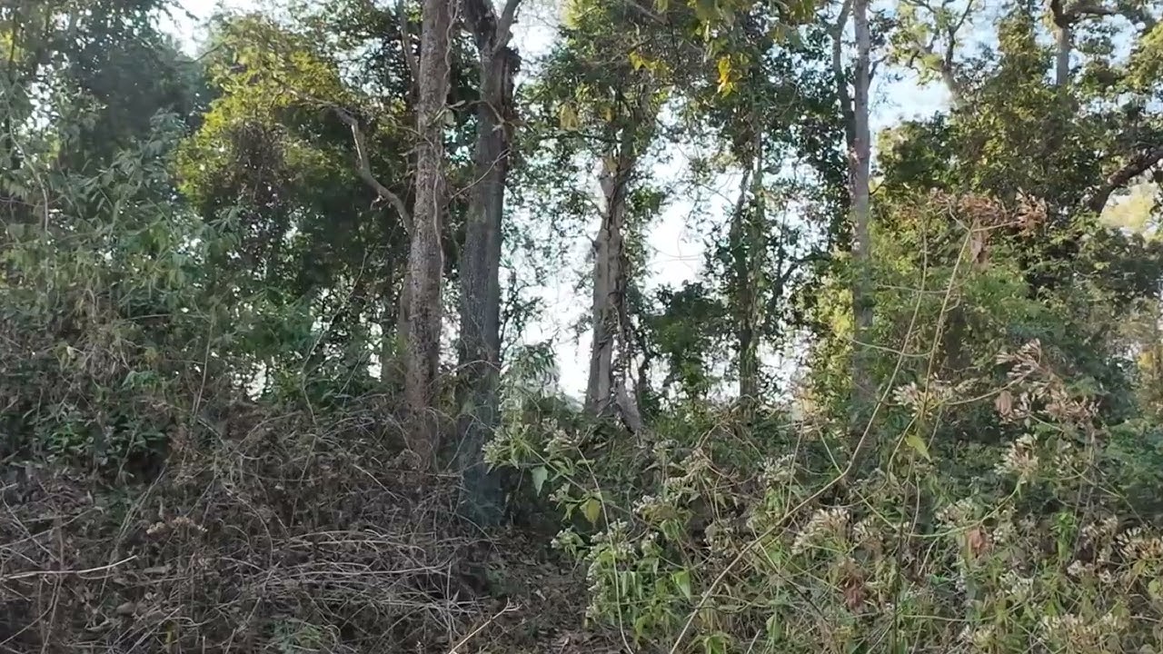 DJI 20260218083450 0091 D