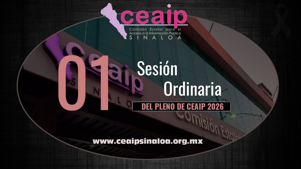 Sesión Ordinaria de Pleno 01/2026