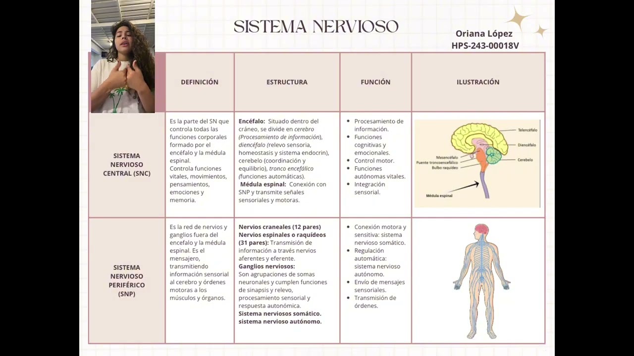 Unidad II, fundamentos de Neurociencia 