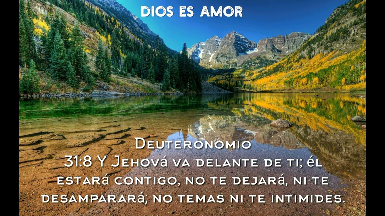 No Temas, Hijo mío - Alabanza