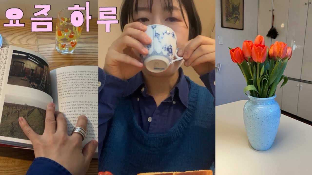 Seoul Vlog | 4일 연속 품절 최애빵