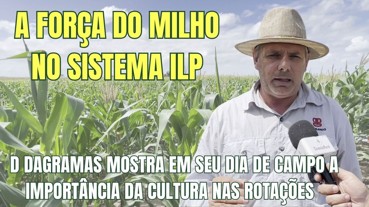 O curinga do ILP - Dagramas mostra as virtudes da cultura no seu Dia de Campo