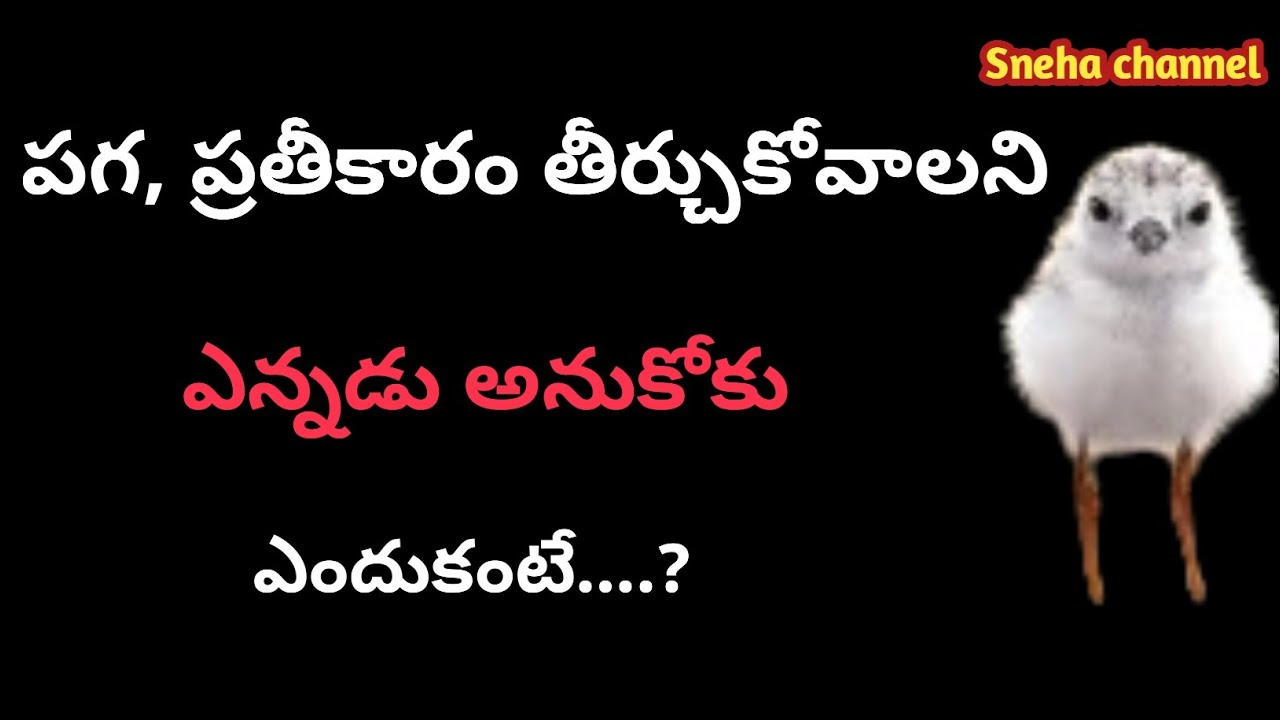 wonderful quotes#895#jivithasathyalu |Million dalar quotes |‌|Sneha channel