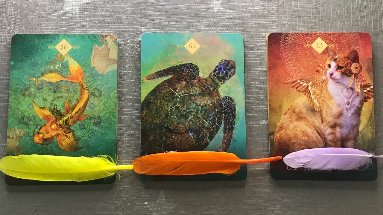 💌 Pick a Card | Next 45 Days From When You See this 📚👩🏻&zwj;💻💰💕 | Teacup Tarot ☕️