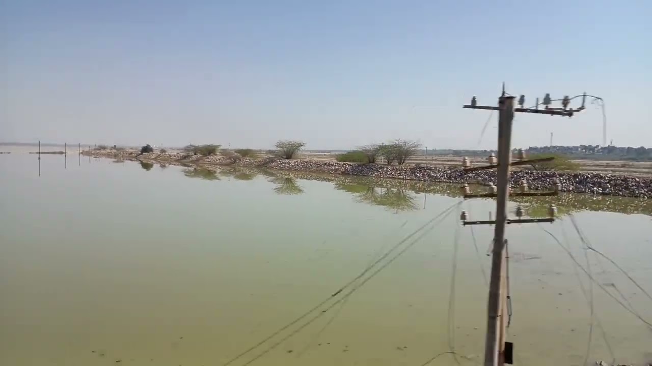 SAMBHAR SALT LAKE | SHAKAMBARI JHEEL | JAIPUR | RAJASTHAN 