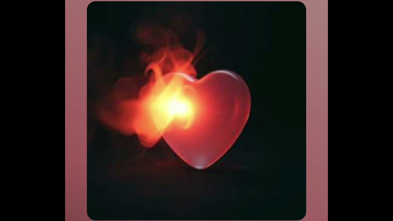 Soft Heart FtJaylaLyrics 