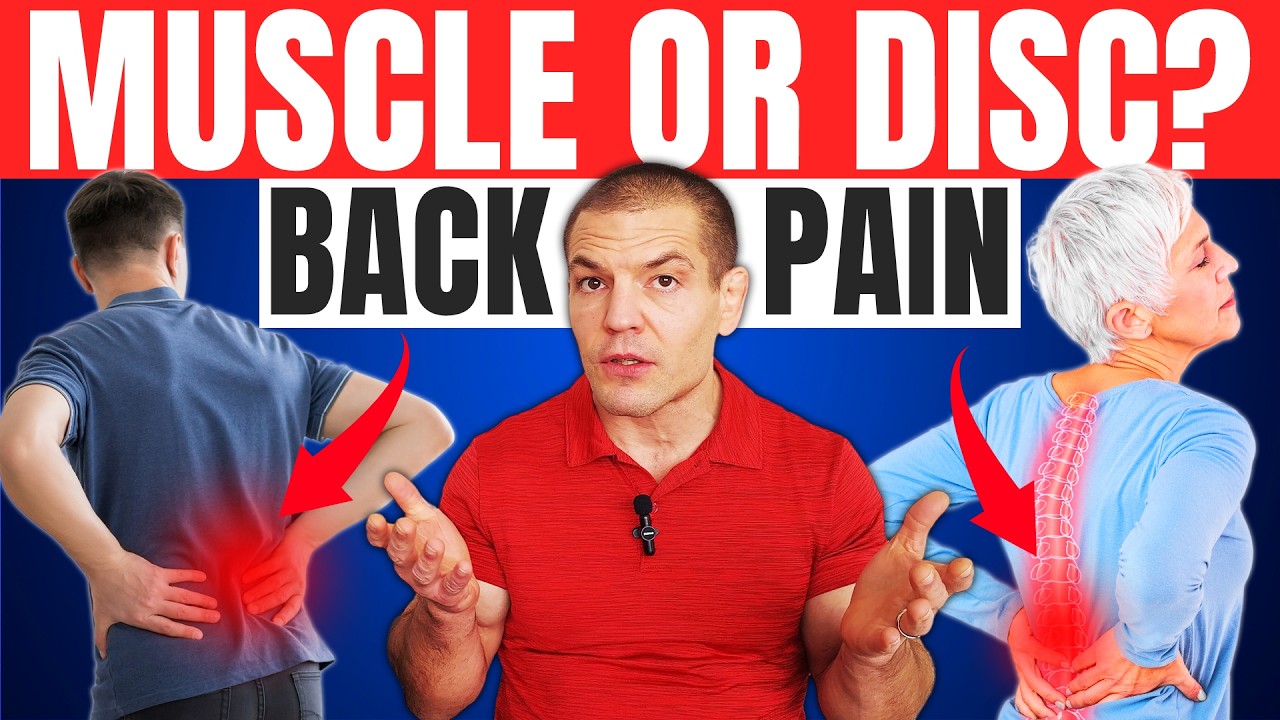 How Do You Know If Back Pain Is Muscle or Disc? How to Relieve It!