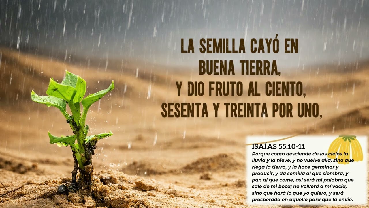 Tu Palabra V.B. (YT)