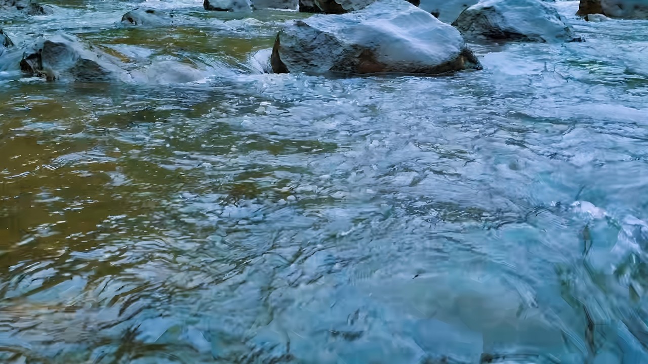 Sit Back and Relax with River Flow and Bird Sounds 🕊️ to Fall Asleep Fast, Relaxation & Focus