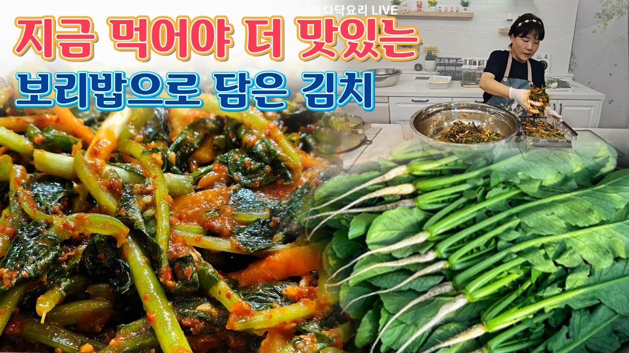 🔴 김장김치 질리면 담아요. 열무김치입니다.