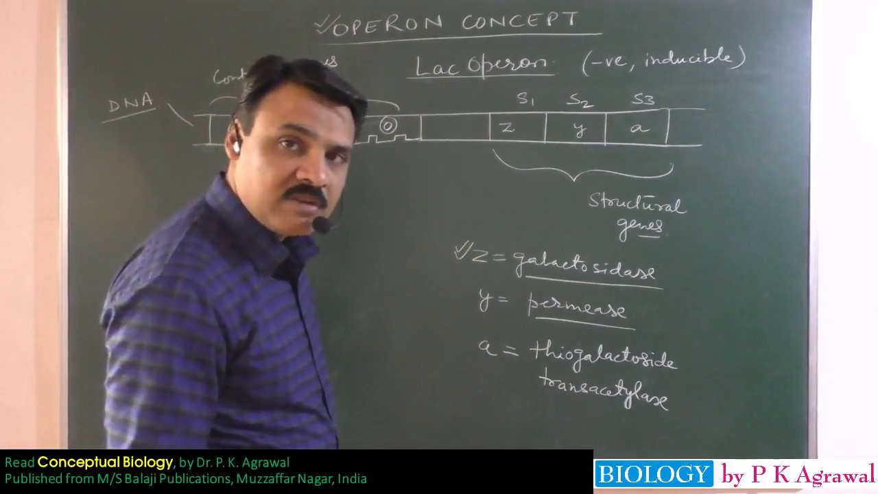 OPERON model (regulation of gene expression)