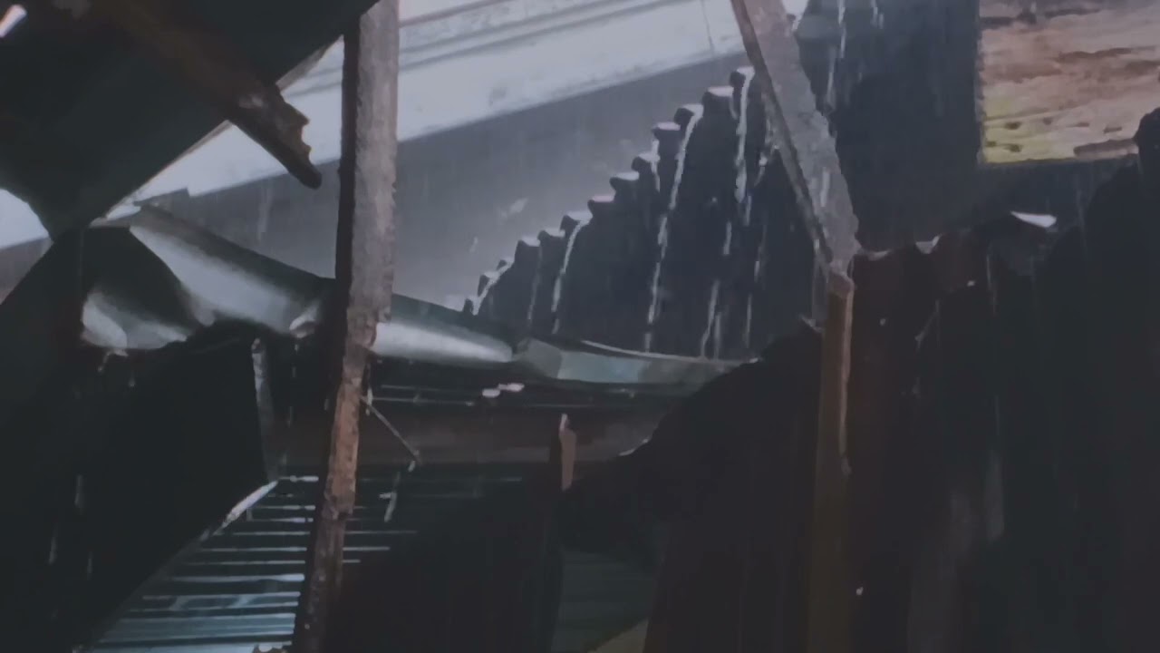 Under the Tin Roof: Rain Sounds and Thunderstorms in Harmony