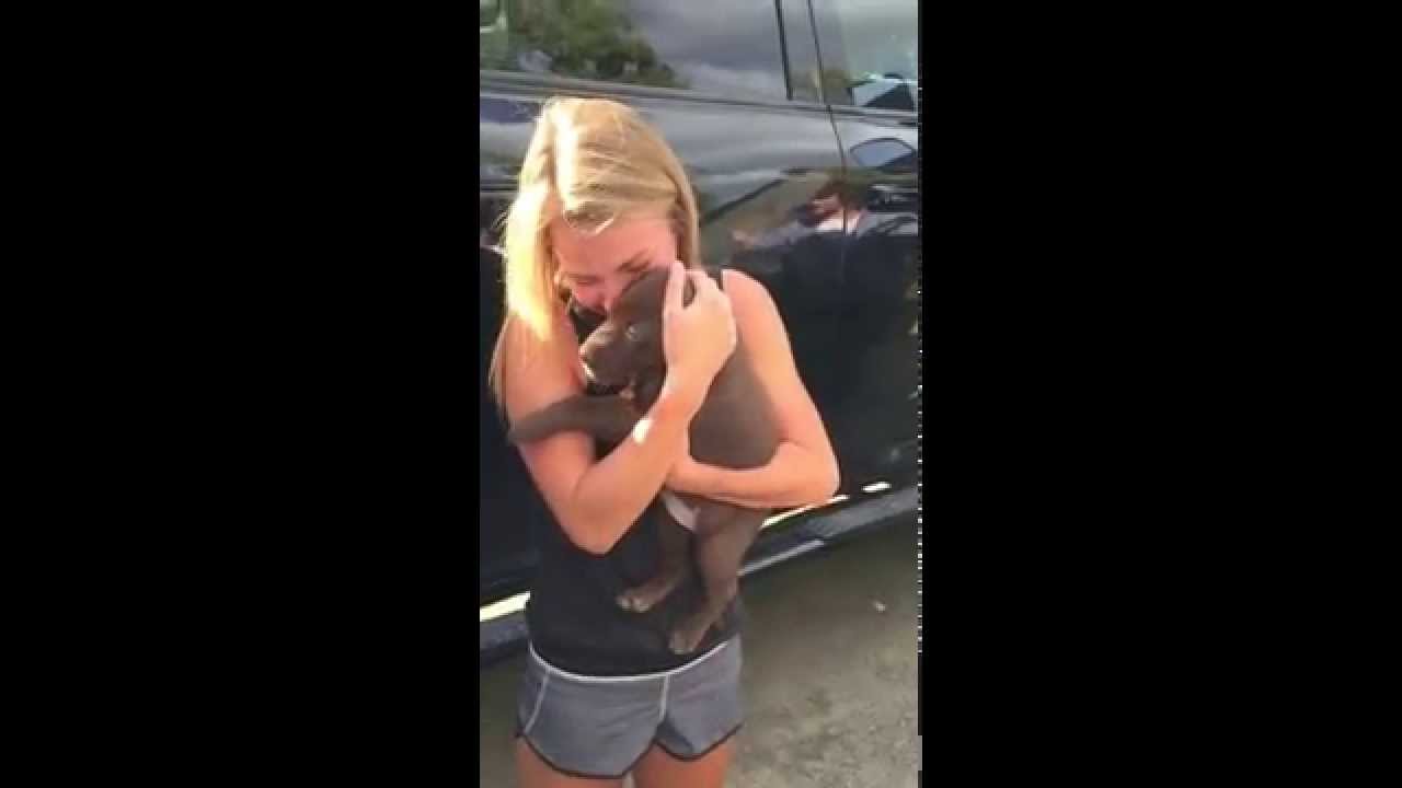 Best Proposal 