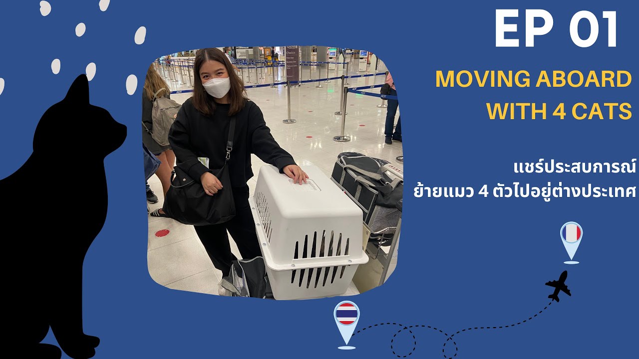 พาสัตว์เลี้ยงไปต่างประเทศ ไม่ยากอย่างที่คิด | Moving Aboard with 4 Cats
