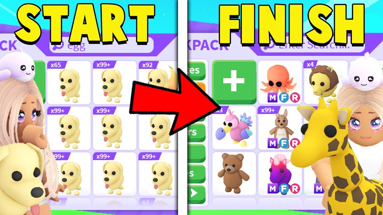 I Gave My Friends 1 HOUR to TRADE DOGS!