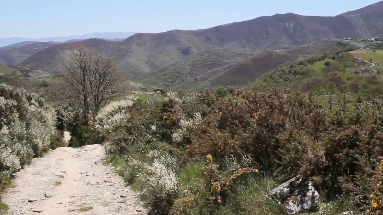 Camino de Santiago: Trabadelo a O Cebreiro. Camino Francés, 25.