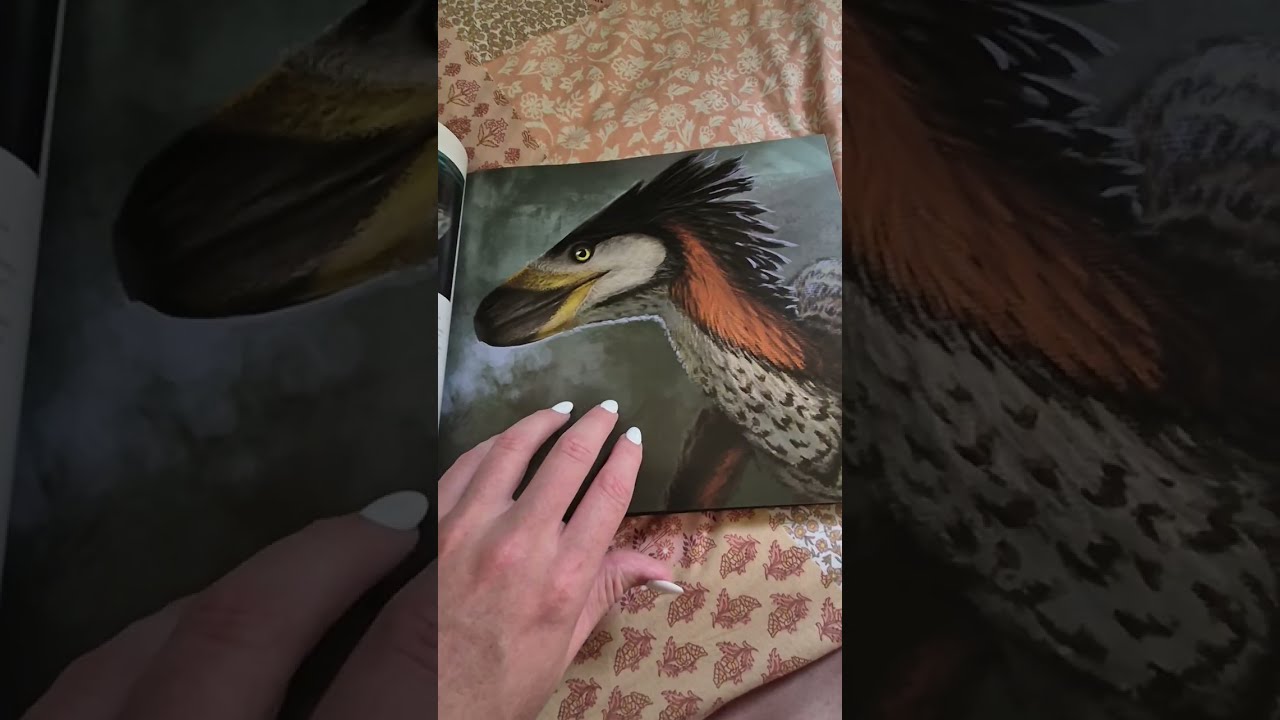 ASMR - Dinosaur Art Book 💜